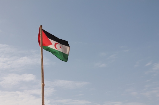 Saharako bandera Haguniako eskolan